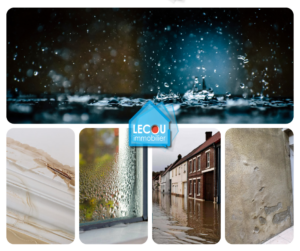 Identifier l’humidité à la maison