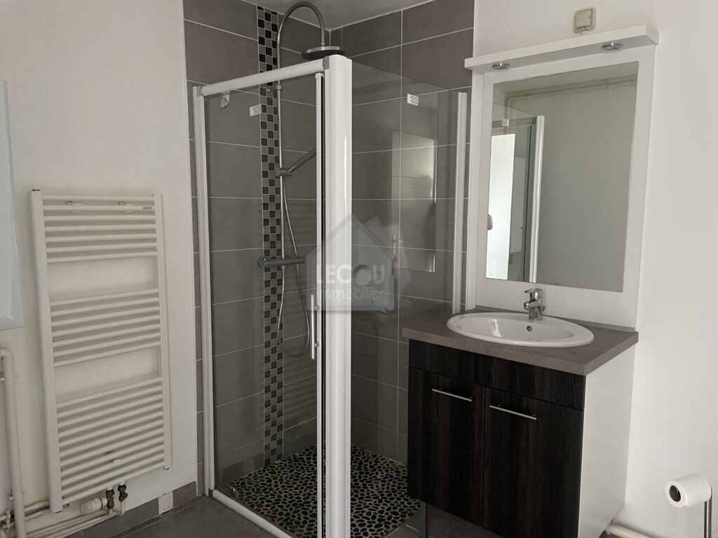 Appartement 2 pieces - salle de douche